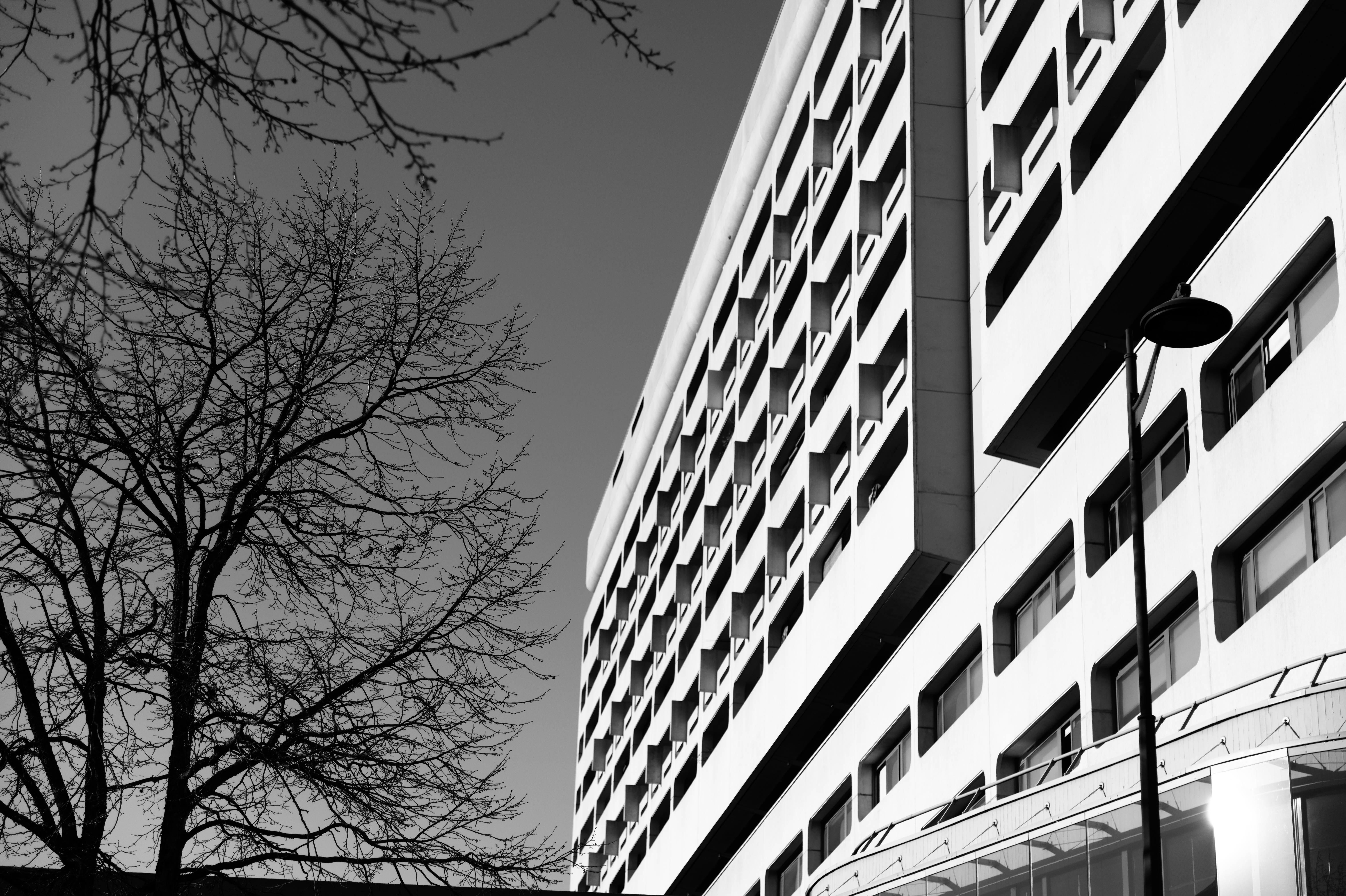 High-rise grid of recessed windows framed by bare winter trees