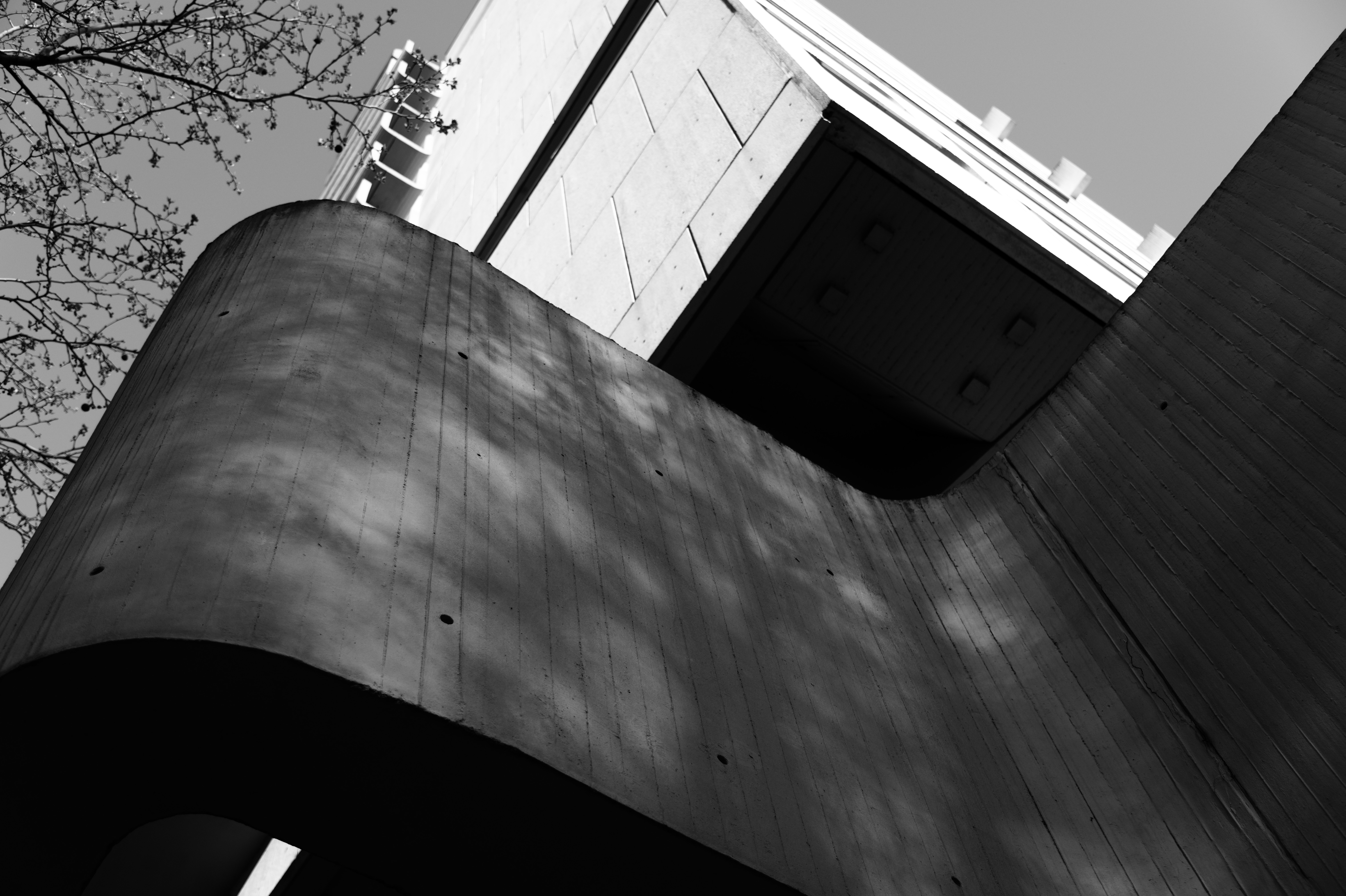 Massive curved concrete wall with tree-cast shadows and angular recesses