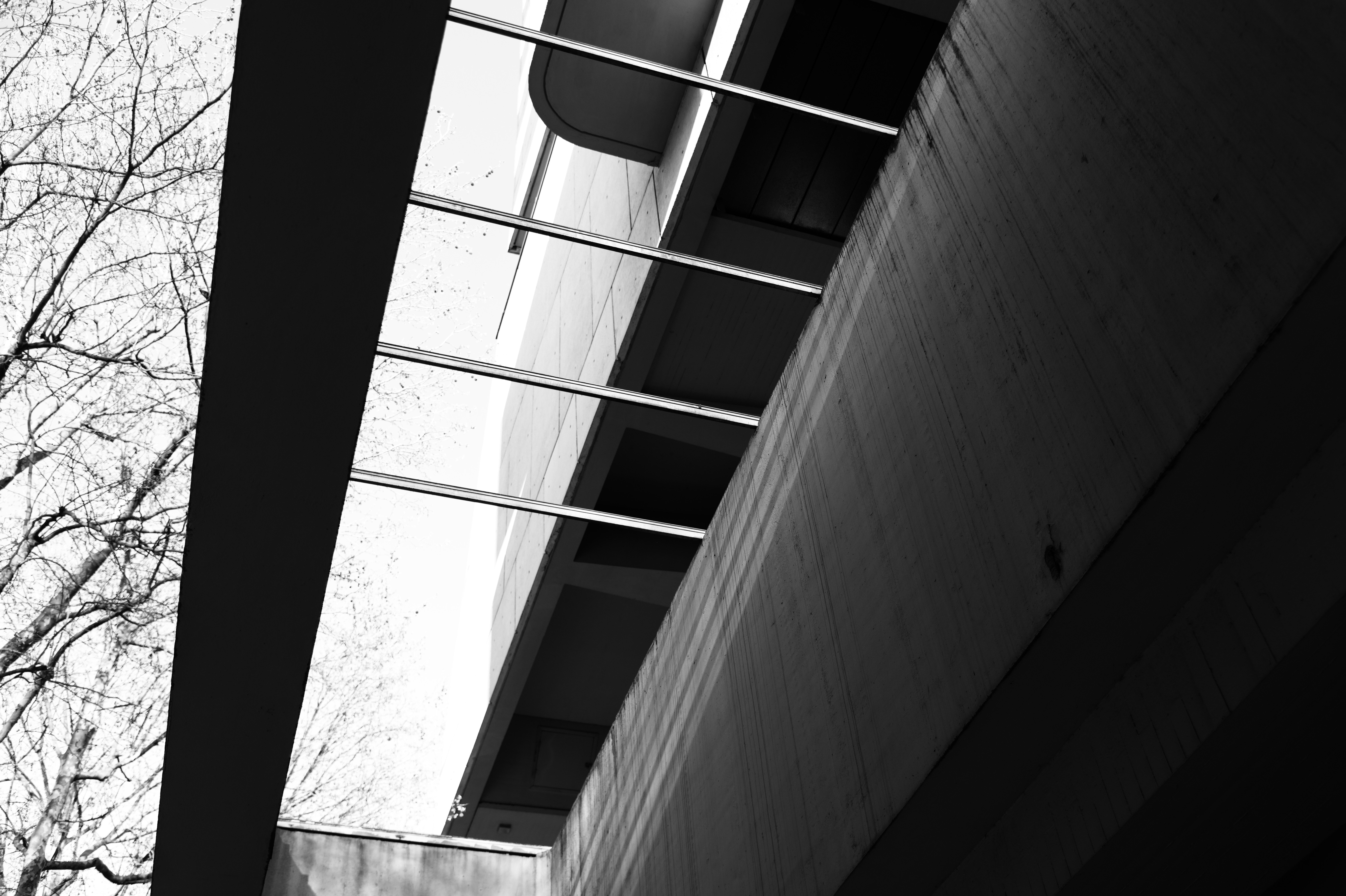 Board-formed concrete with stacked balconies and bare winter branches